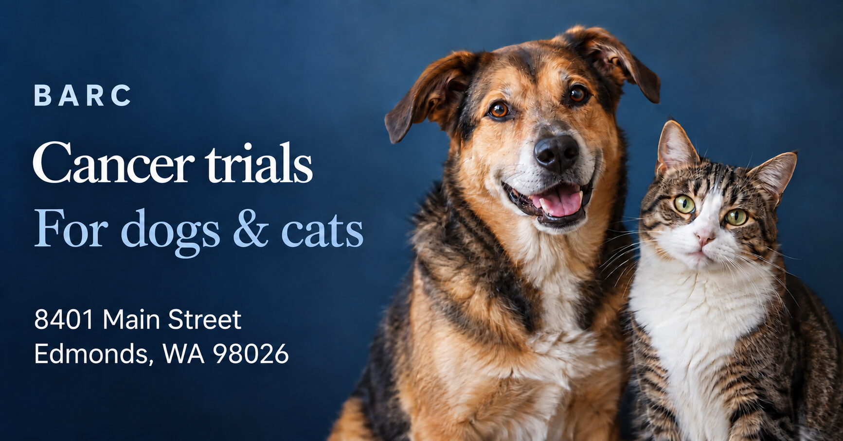 Illustrative cover showing a dog and a cat beside the BARC cancer trials headline and Edmonds clinic address